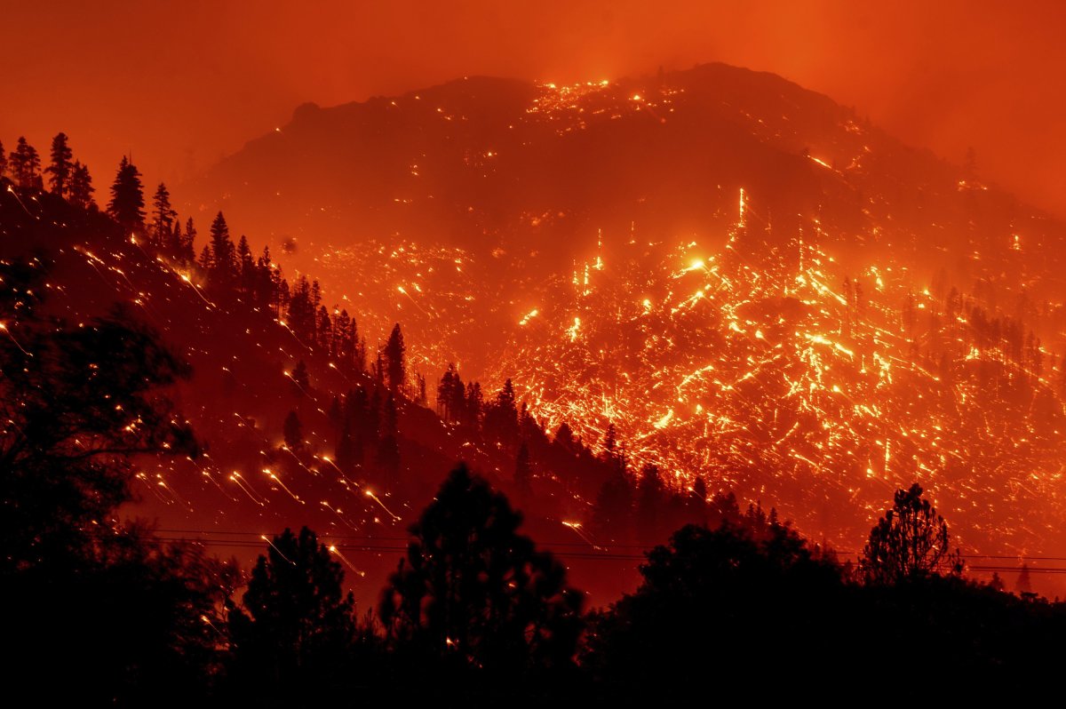 Here's how California has increased forest management and wildfire