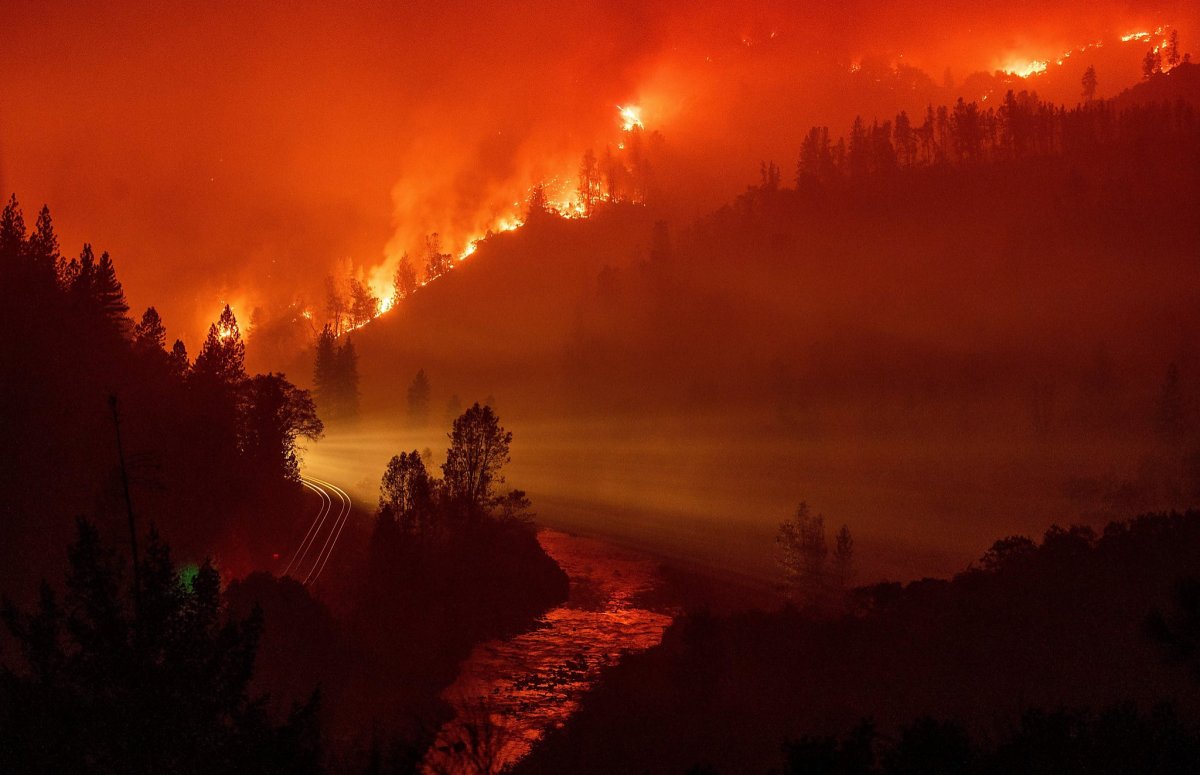 Here's how California has increased forest management and wildfire